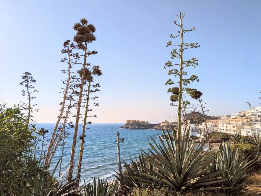 Vistas de Playa La Calilla en San José
